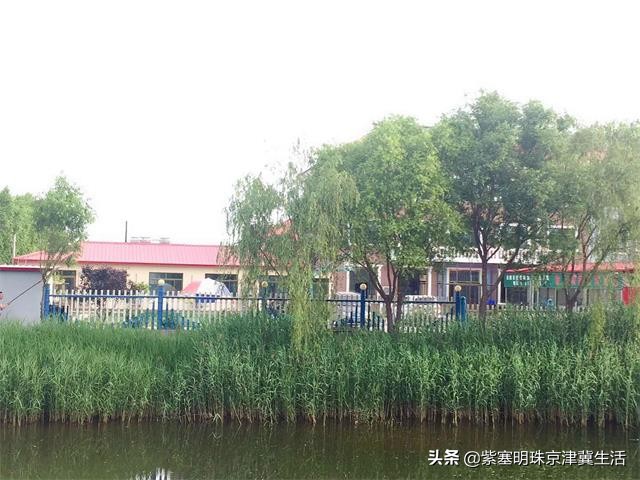 海边可以赶海吃住玩一体的农家院,秦皇岛黄金海岸牧海农家院