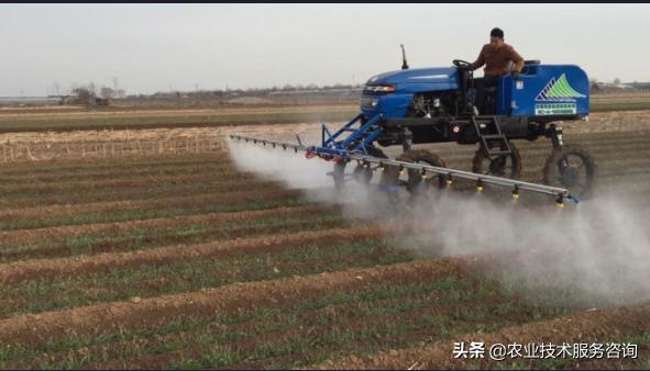 杀虫剂分类及使用方法,植物杀虫剂分类