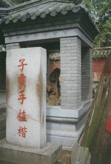 此地3000亩，只葬了一个家族，拥有10万多座坟冢，94年申遗成功