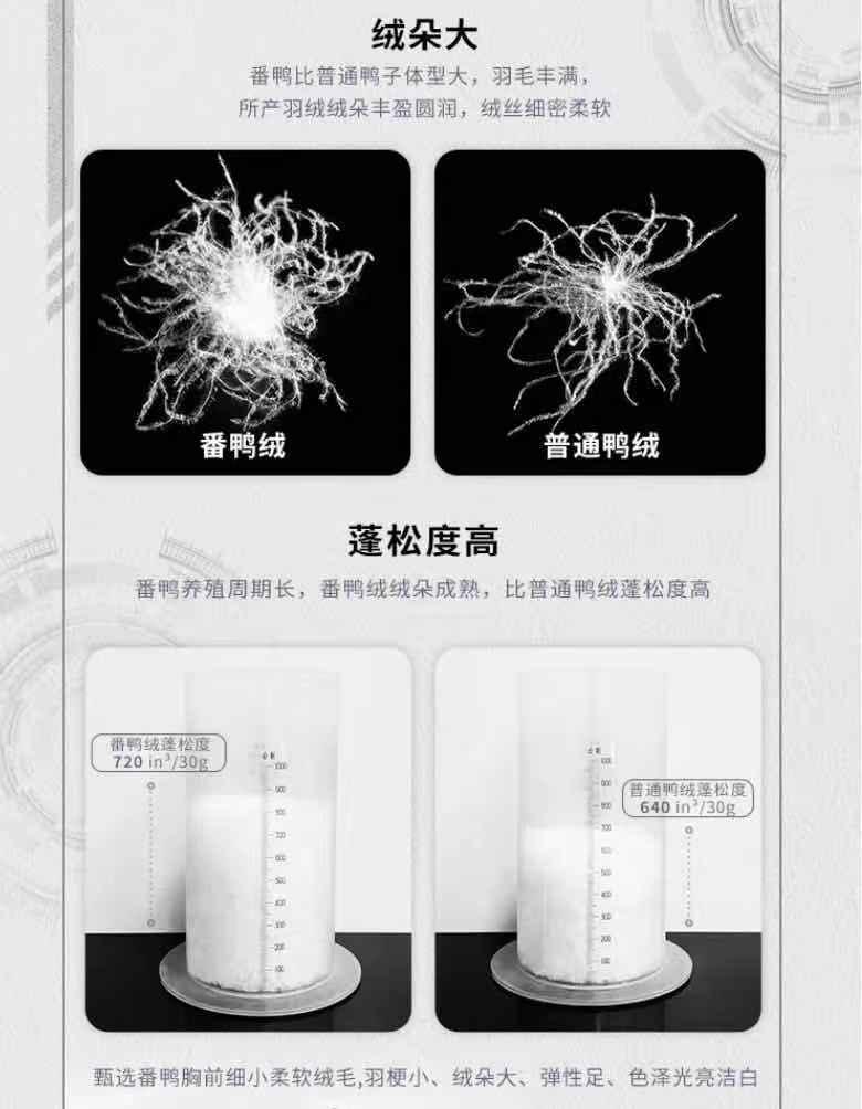 哪个牌子的羽绒服不坑,羽绒服和大鹅同档次