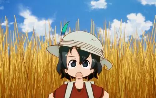 小哀动漫中喜欢的角色排名,2020最具人气角色投票日漫灰原哀