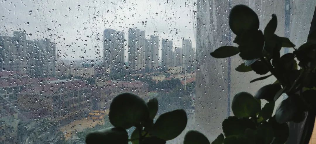 各种除甲醛方法大pk,除甲醛方法哪个更靠谱