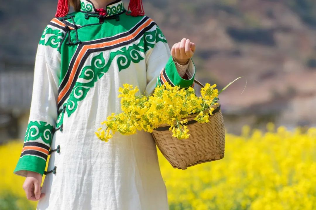 足不出户欣赏美丽的云南风景,攀枝花3月赏花景点