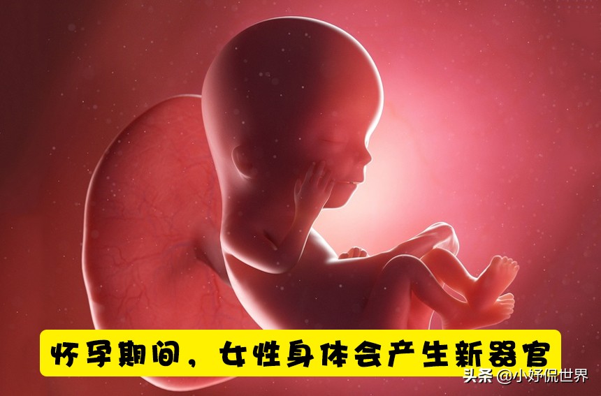 分娩知识,孕妇分娩宫缩知识