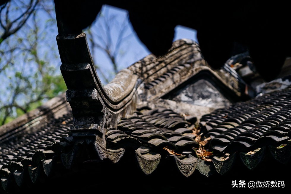 拙政园最让人欣赏的地方,拙政园十大特色