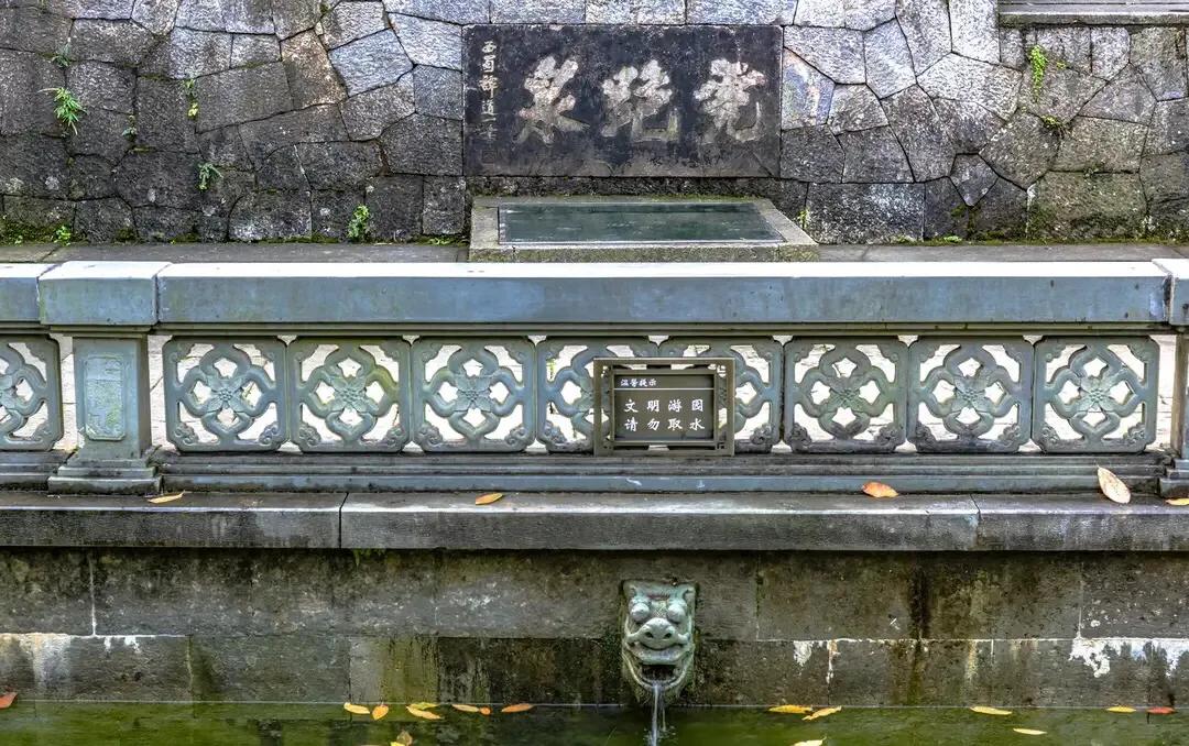 如何挑选西湖龙井茶,杭州西湖龙井茶价格