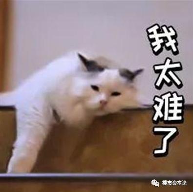 天泰集团创始人王若雄,天泰控股集团