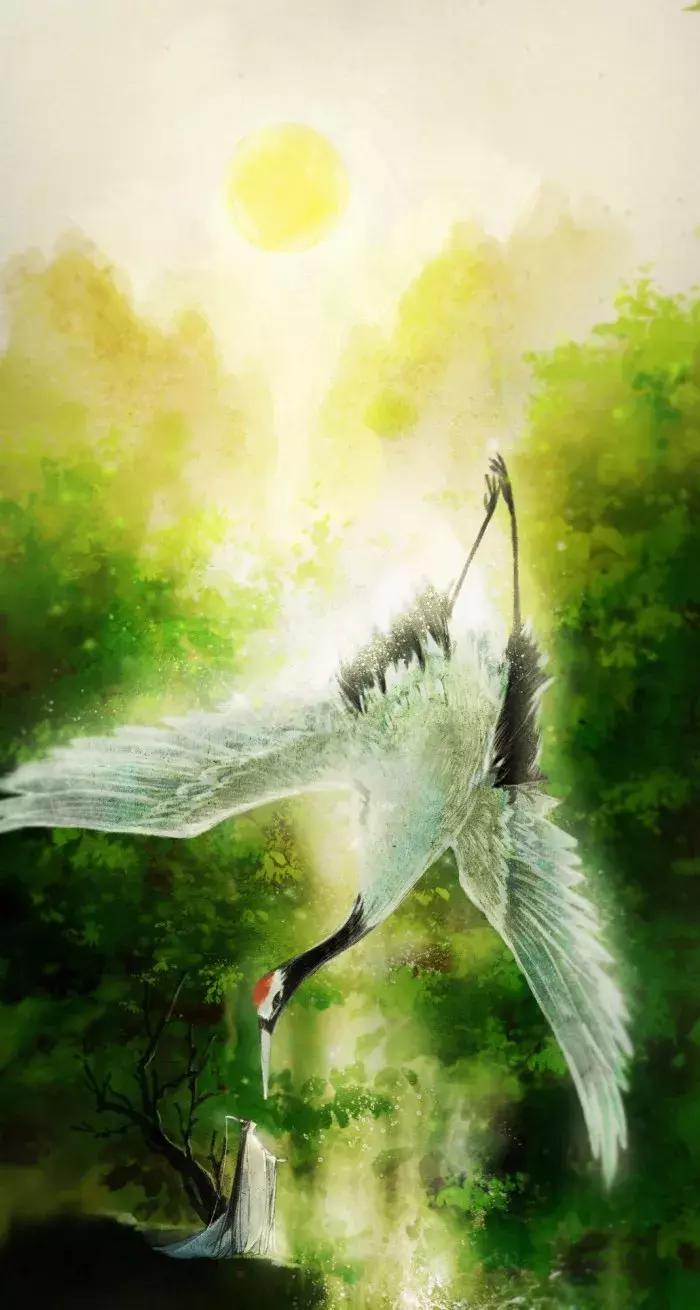 几月生是水命人,几月出生水旺