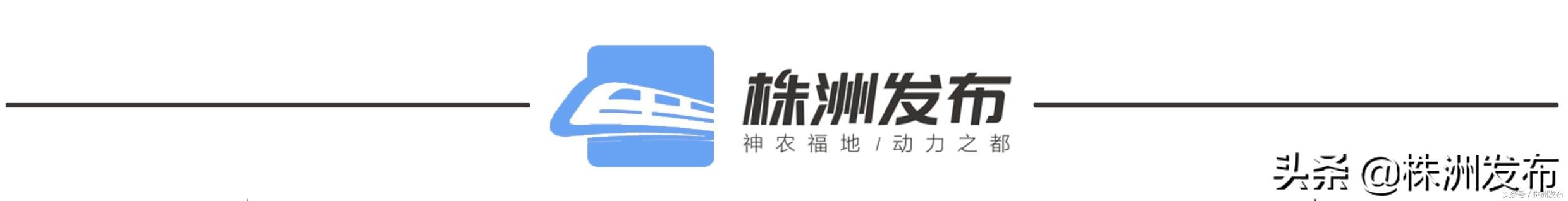 2020湖南夏季乡村文化旅游节,湖南省2020夏季乡村旅游节