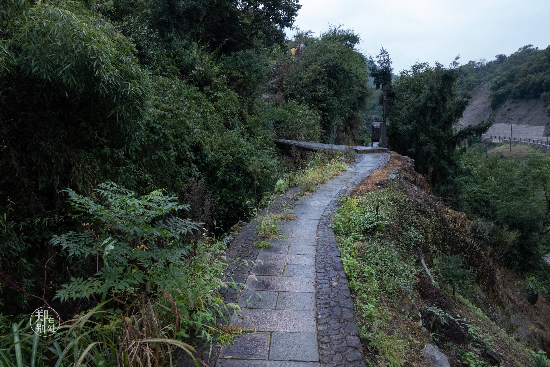 香榧古道,香榧古道徒步路线哪条景色美
