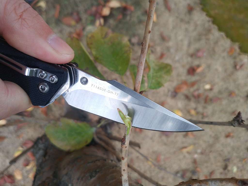 三刃木折叠小刀户外测评,三刃木折叠小刀怎么玩