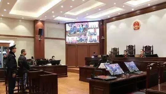 天网行动最新视频,天网2023行动的重要成果