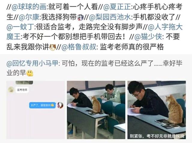 看到自家猫心情都会很好,这样的猫你会想养一只吗