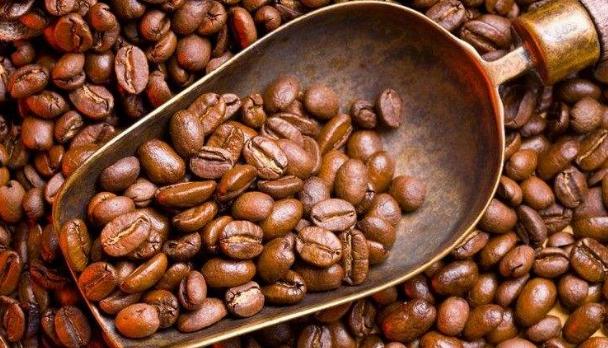 咖啡豆怎样鉴别?海马社团咖啡教你品鉴咖啡豆