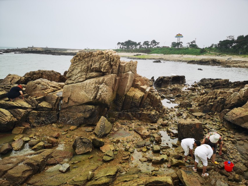 日照最美海边攻略,日照海滩自驾游推荐