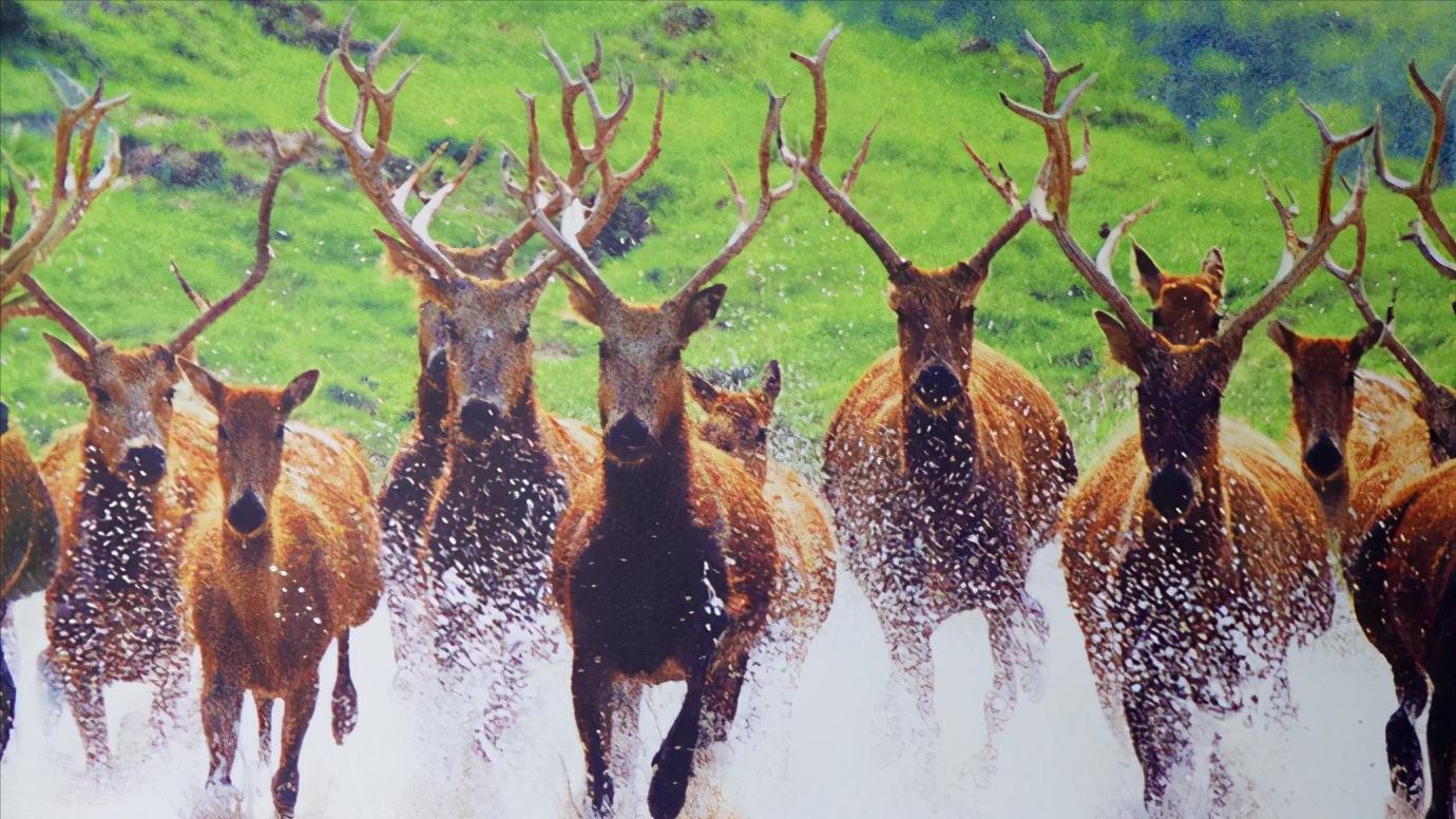 江苏省盐城市有哪些县和区,浅谈全国各省份