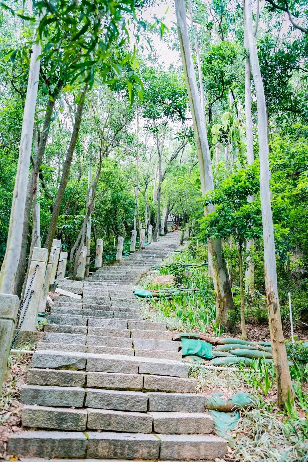 深圳值得打卡的建筑物,深圳最值得打卡的山
