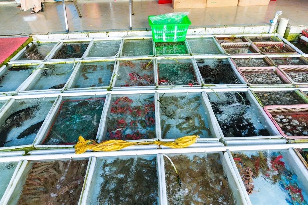 深圳旅游好去处推荐,深圳宝安区周末休闲浪漫好去处