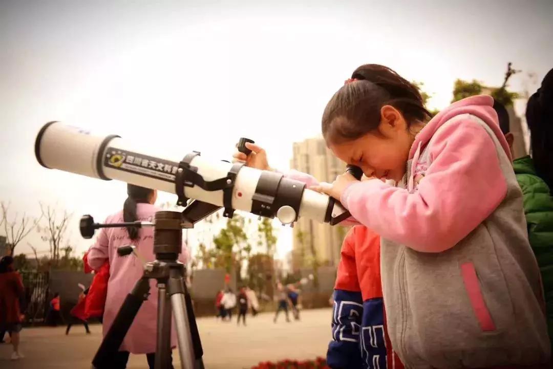 教师学校联合招聘,教师招聘湖北小学语文