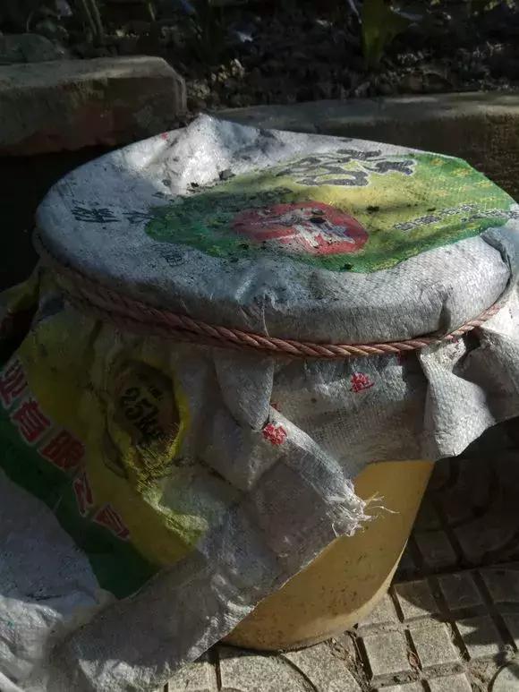 老花农不小心透露，花盆里倒3滴油，1个月爆盆，全年不用施肥