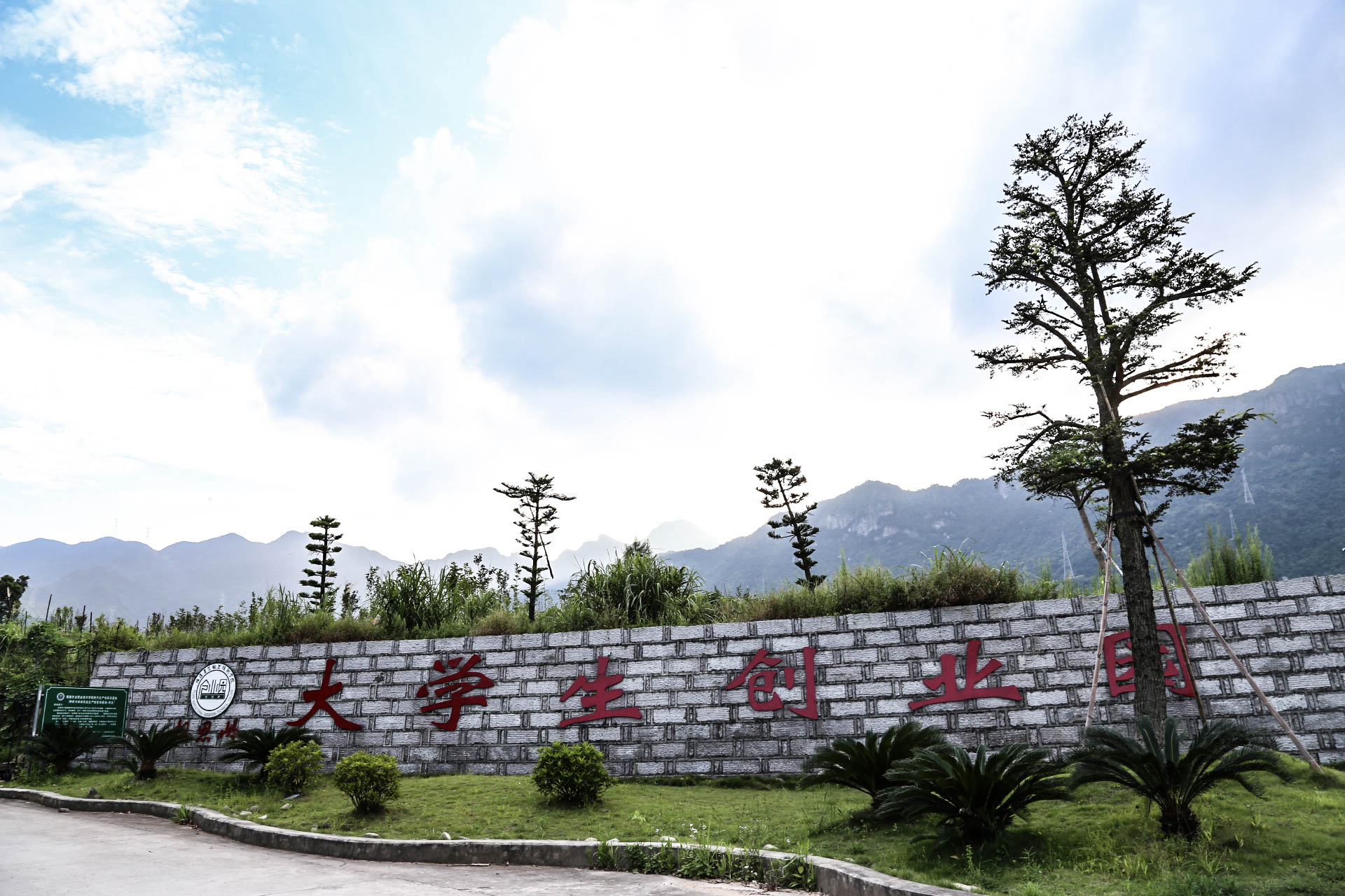 创业人必备的6种思维,大学生自主创业意识有哪些