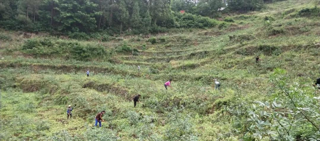 大叔收集废品变废为宝,重庆大叔创业