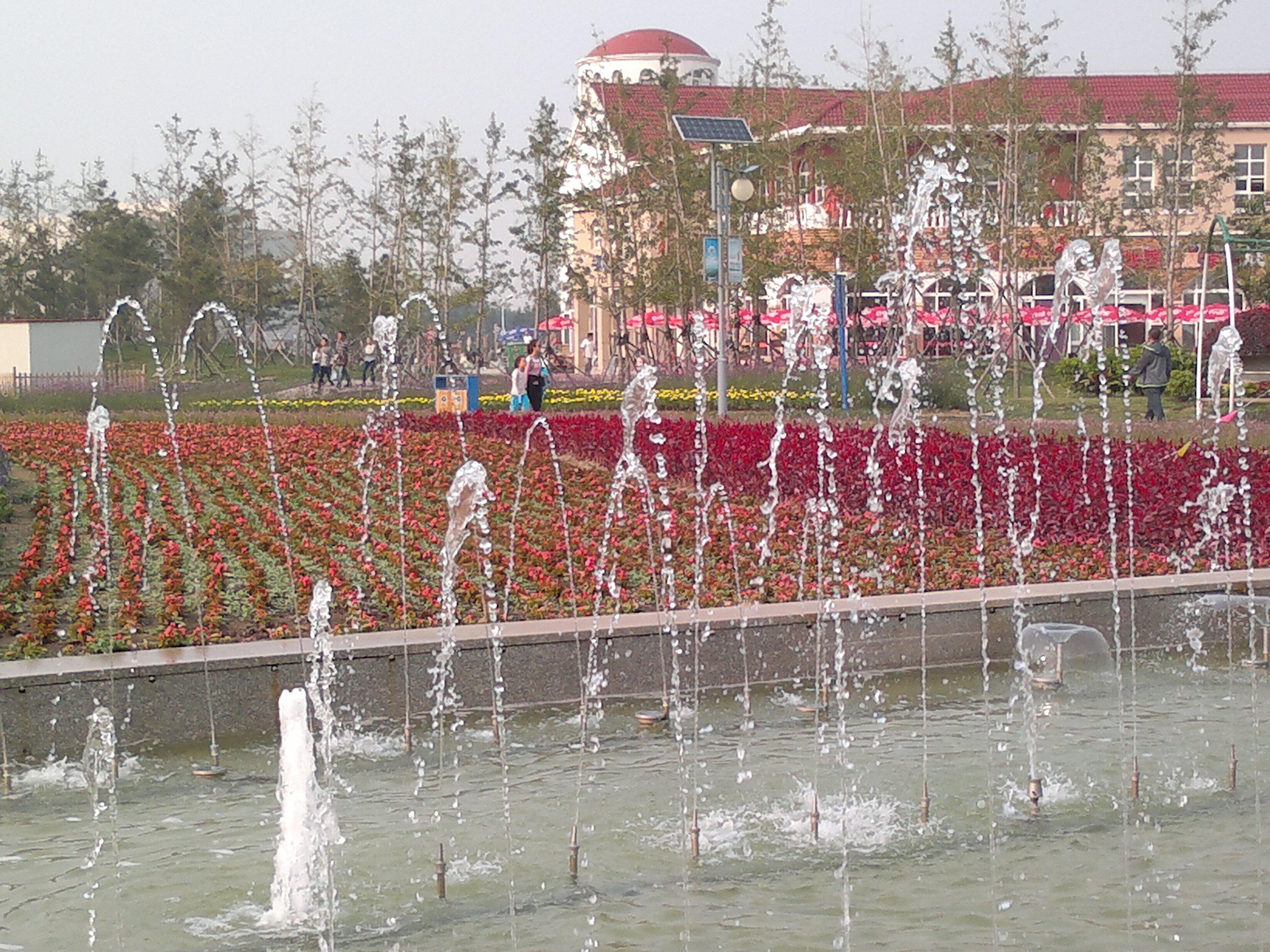 锦州世博园最好的地方,锦州世博园最佳游玩时间