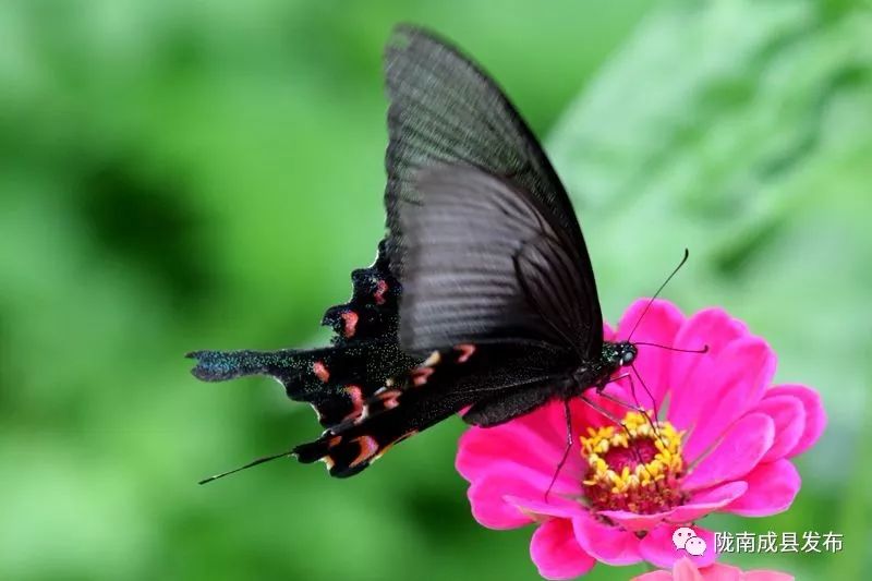 我叫成县，这是我2019年的自拍照~