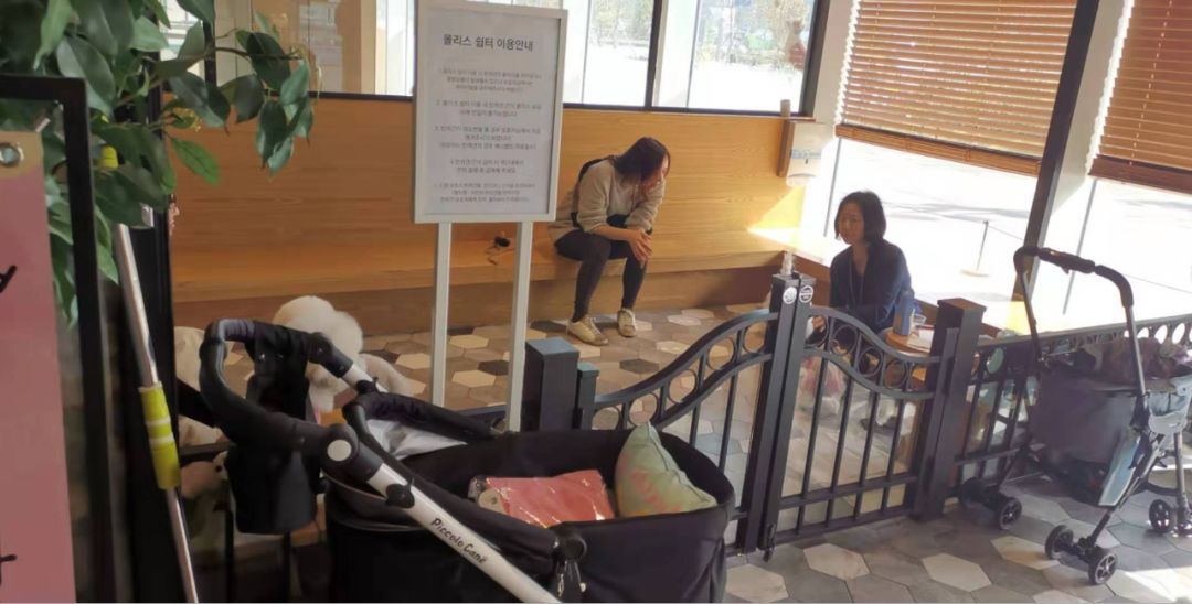 韩国宠物店推荐,韩国宠物店体验