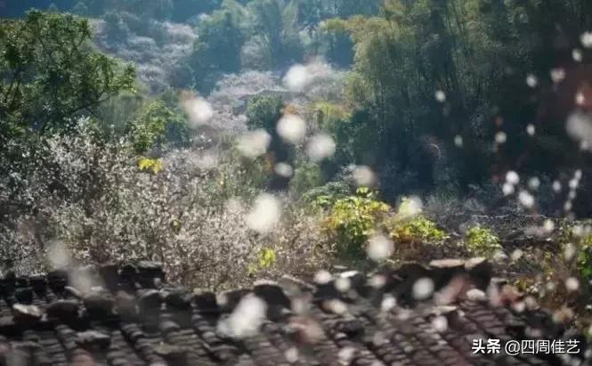 揭阳汕头潮州为什么称为潮汕,潮州汕头揭阳属于哪个地区