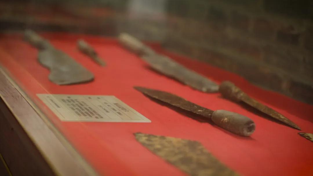 党史百年天天读电子版,党史百年天天讲