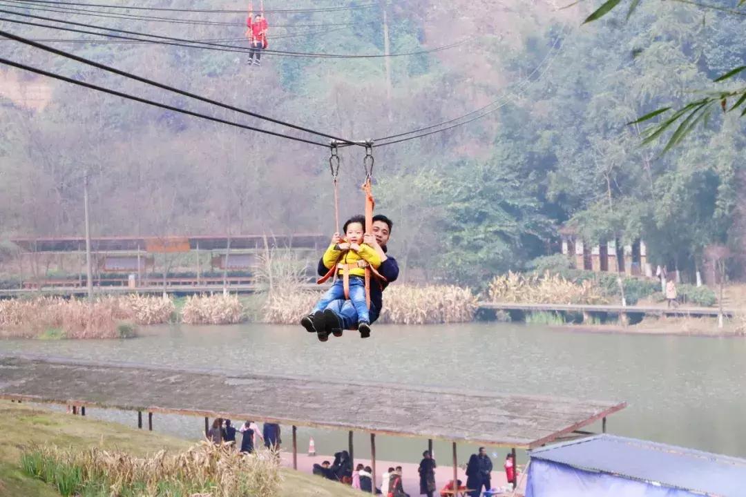 元宵花灯太美了,春季赏花郁金香太美了