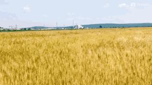 触目惊心！德州多地麦田发生火灾，收割机被烧成黑炭......