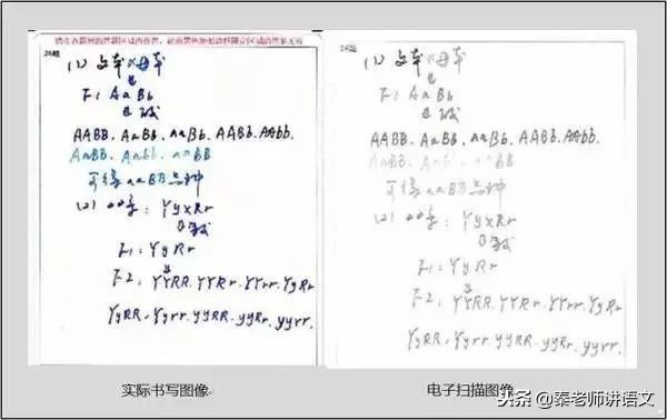 中考电脑阅卷流程揭秘,中考电子阅卷潜规则早知道早受益