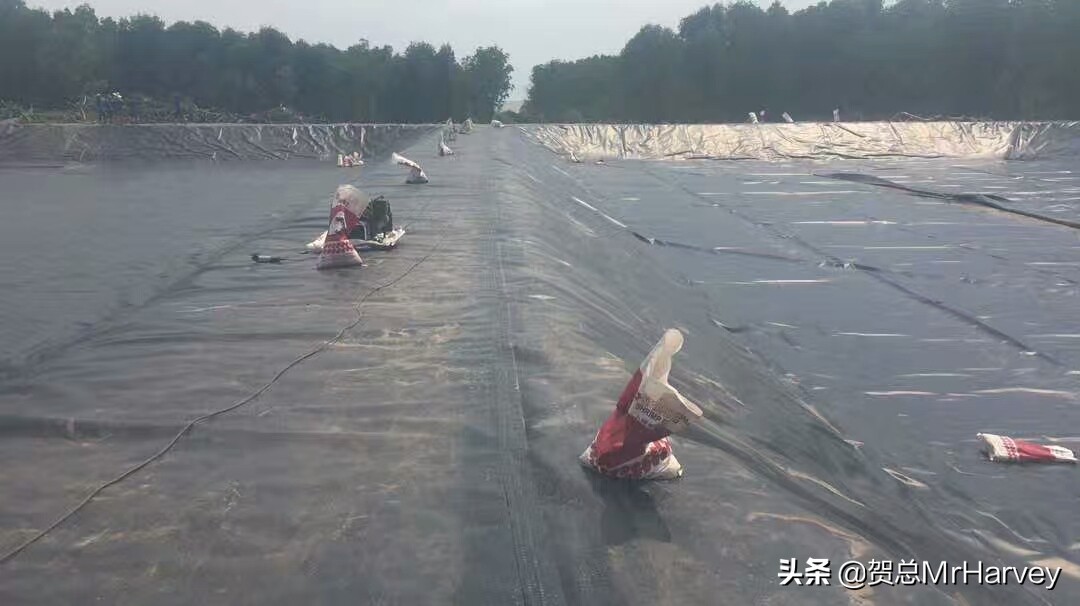 广东养虾池曝气增氧机设备靠谱,菲律宾养殖小龙虾