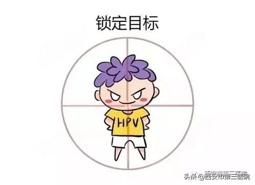 什么是hpv病毒学检测,如何检测hpv病毒