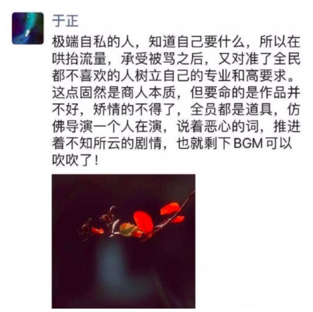 于正为啥没像郭敬明,于正郭敬明遭抵制的原因