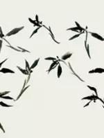 兰花的画法国画,兰花的画法步骤动画