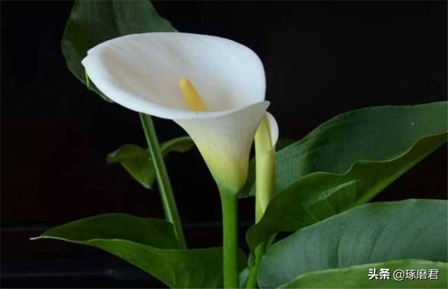 曾国藩七大箴言,曾国藩讲人生大智慧胜读十年书