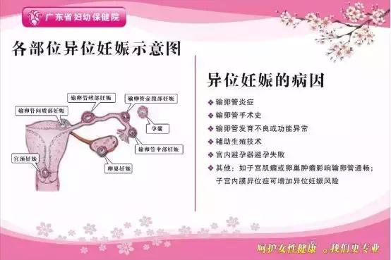 粤东首家！5G+云技术，家门口即可享受省级妇幼专家服务了