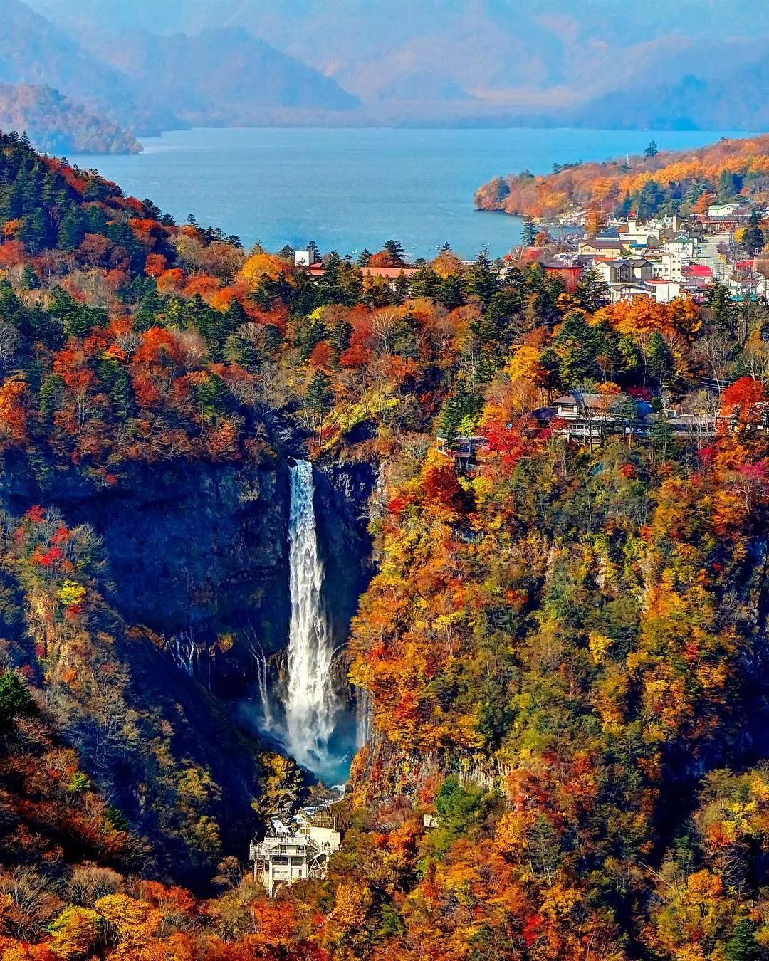 停车坐爱枫林晚，感受火红的秋