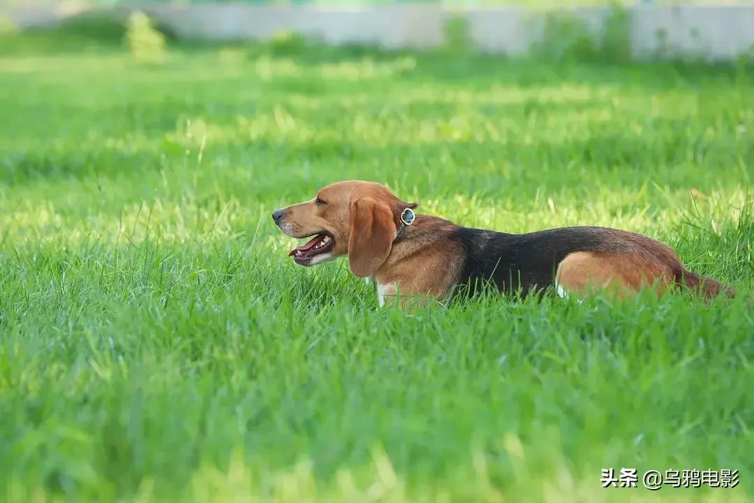 b站必看的综艺,b站能看的综艺推荐