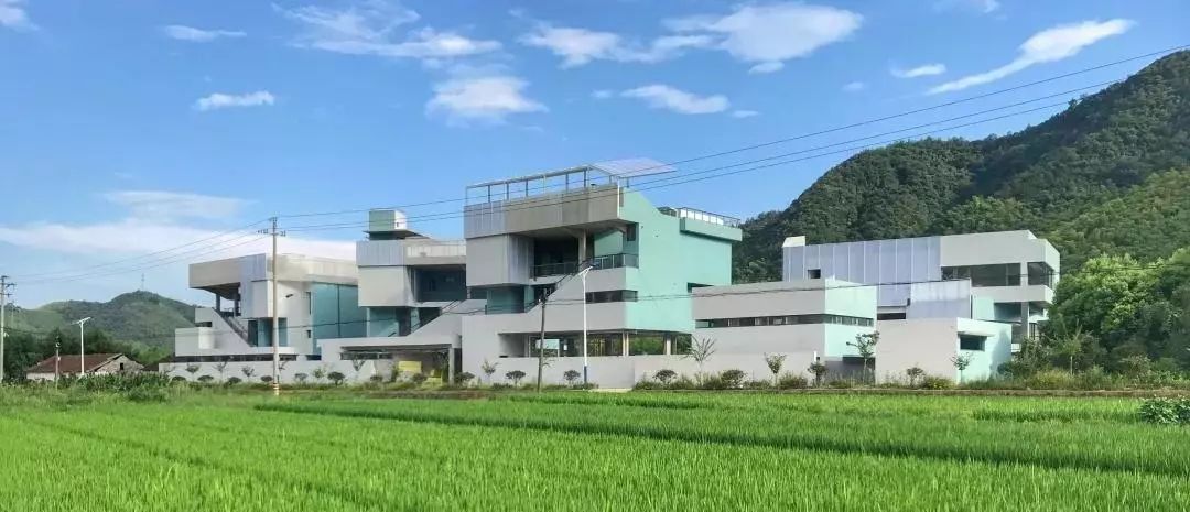 重回校园体验青春懵懂,重回校园体验大学生