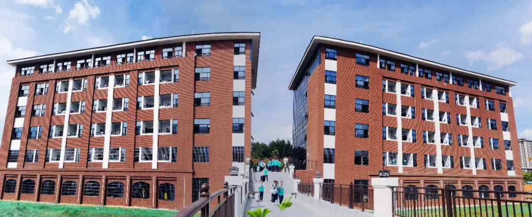 新蒲新区新舟中心学校,新蒲新区有哪些小学学校