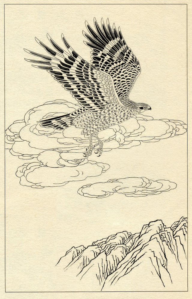 鹰的工笔底稿白描大图,白描鹰的画法图片
