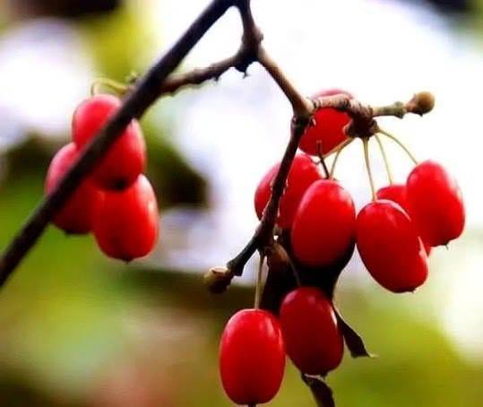 送礼这四样东西不能送,送礼六大诀窍你要懂