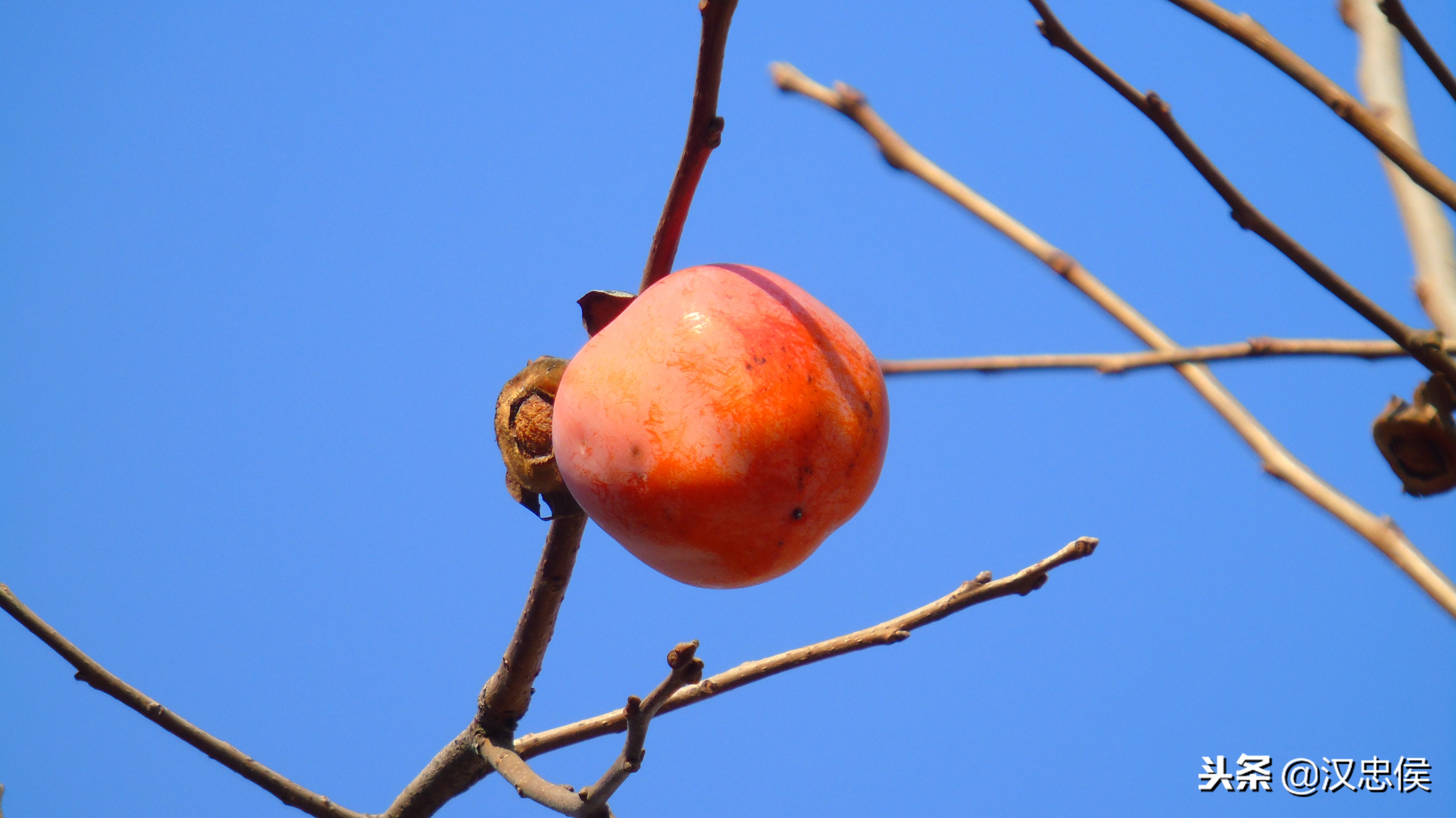 3000以内性价比超高的二手相机,适合拍摄的二手相机