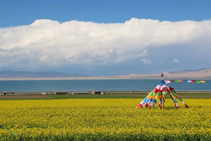 青海湖攻略学生,绵阳自驾去青海湖的攻略