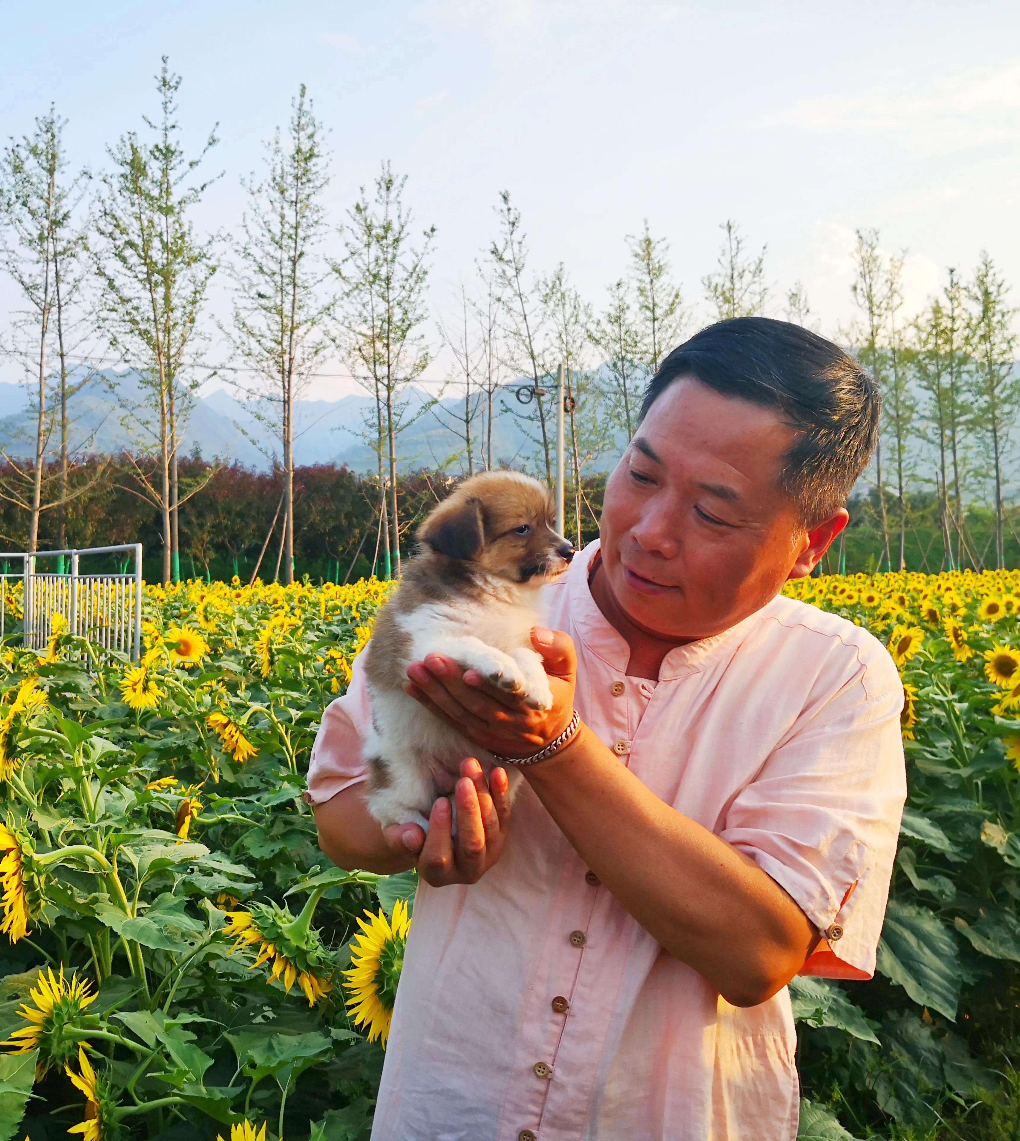 小路虎是指哪款车,小路虎电动车