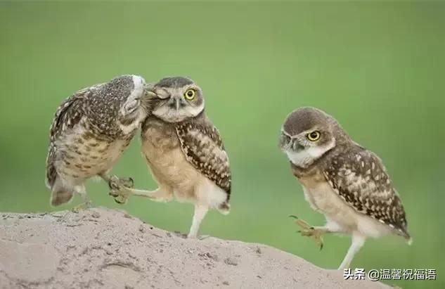 今天3月10，我的妈呀！谁编的，太好笑了，给群里乐一乐